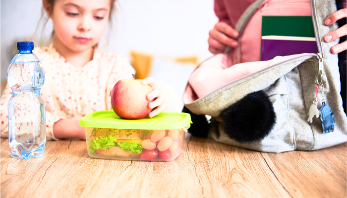 8 Back-to-School Routines & Habits to Start Today